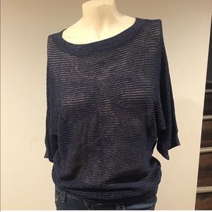 Scoop neck sweater from express XS Navy & Silver